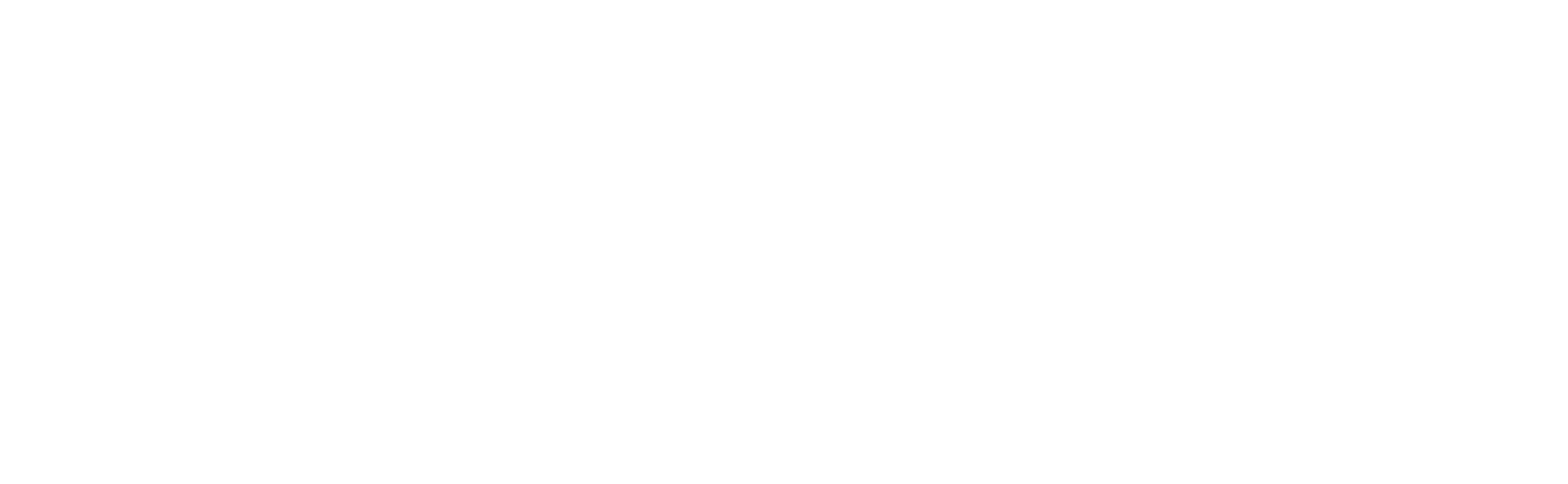 Nomad Africa